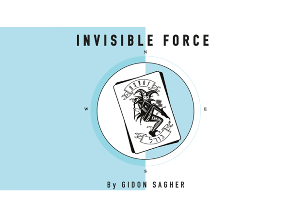 Invisible Force by Gidon Sagher eBook DOWNLOAD