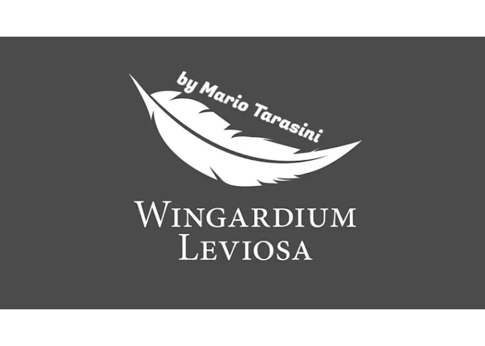 Wingardium Leviosa by Mario Tarasini video DOWNLOAD
