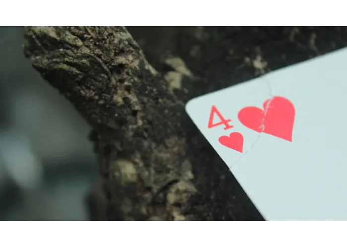 Sinistear by Arnel Renegado video DOWNLOAD