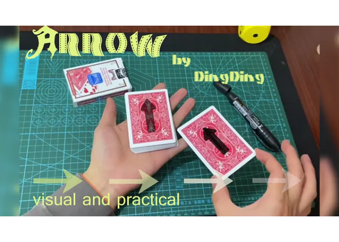 Arrow by DingDing video DOWNLOAD