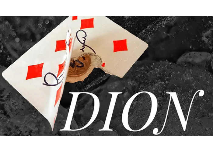 Inside by Dion and Ilia Ricktansky video DOWNLOAD