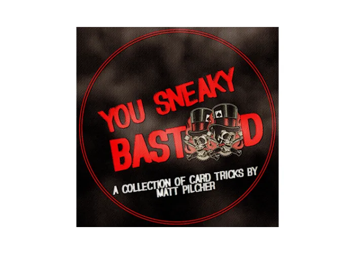 YOU SNEAKY BAST**D By Matt Pilcher eBook DOWNLOAD