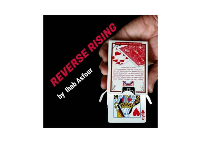 Mario Tarasini presents: Reverse Rising by Ihab Asfour - video DOWNLOAD