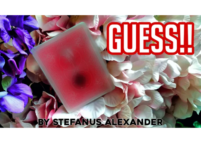 GUESS by Stefanus Alexander video DOWNLOAD