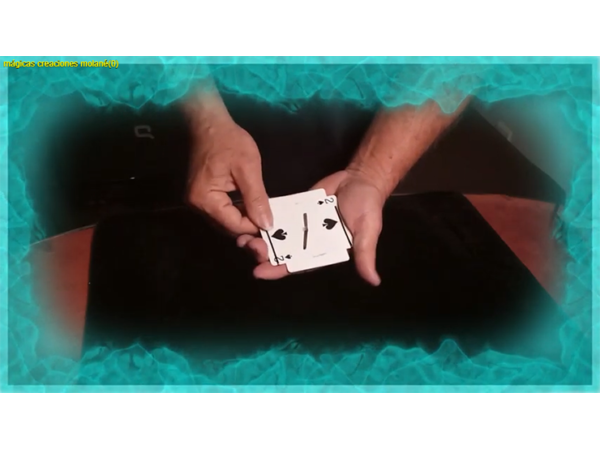 Traverse and the Great Houdini by Salvador Molano Olivera