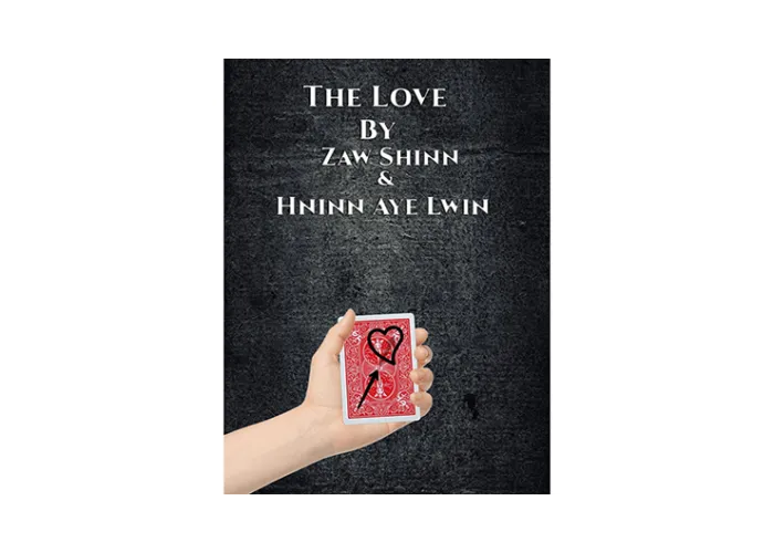 The Love By Zaw Shinn &Hninn Aye Lwinvideo DOWNLOAD