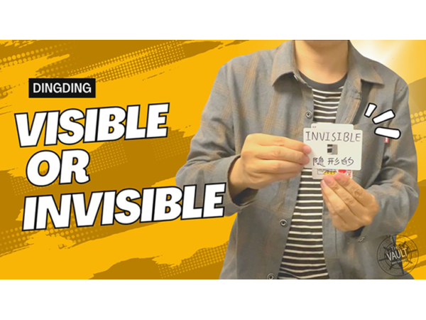 The Vault - Visible or Invisible by Dingding video DOWNLOAD