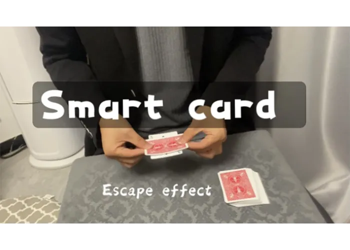 Smart Card by Dingding video DOWNLOAD