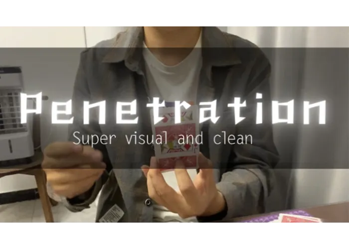 Penetration by Dingding video DOWNLOAD