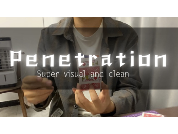 Penetration by Dingding video DOWNLOAD