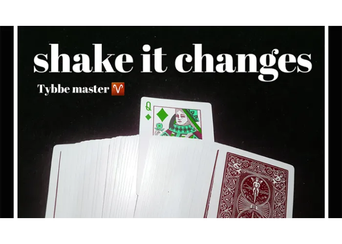 Shake it Changes by Tybbe Master video DOWNLOAD