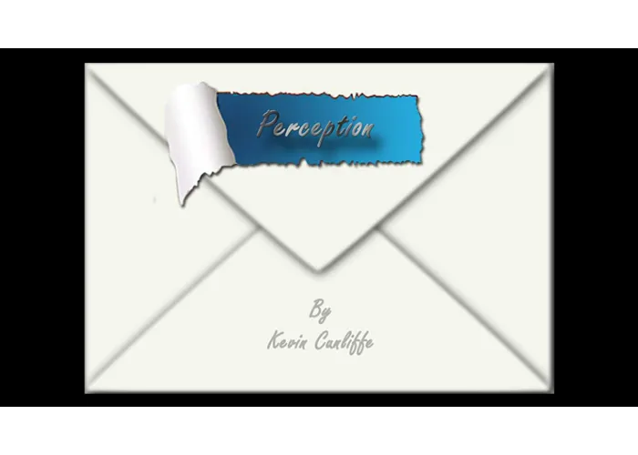 PERCEPTION by Kevin Cunliffe eBook DOWNLOAD
