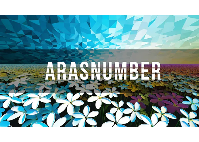 Arasnumber by Negan video DOWNLOAD