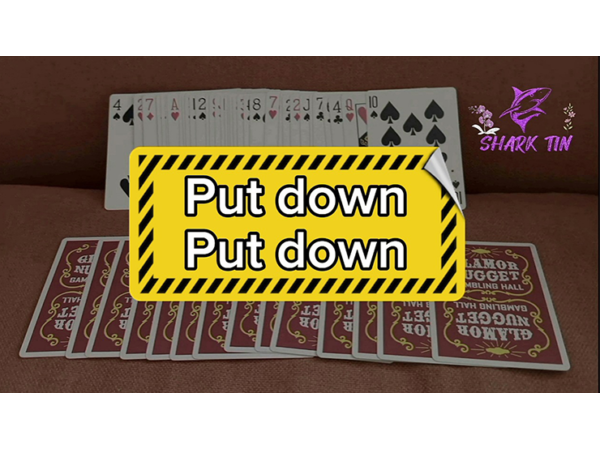 Put down - Put down by Shark Tin and JJ team video DOWNLOAD