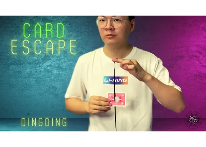 The Vault - Card Escape by Dingding video DOWNLOAD
