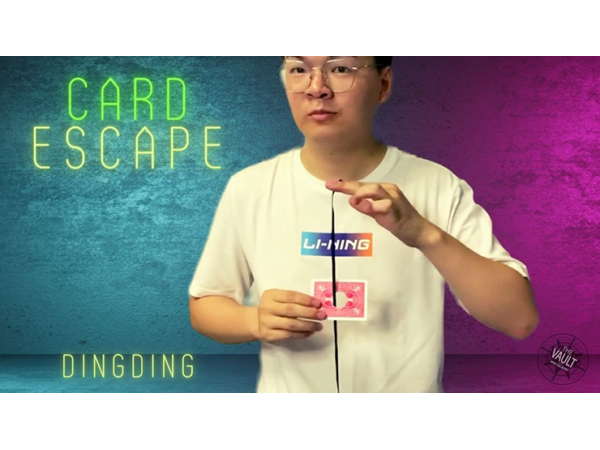 The Vault - Card Escape by Dingding video DOWNLOAD
