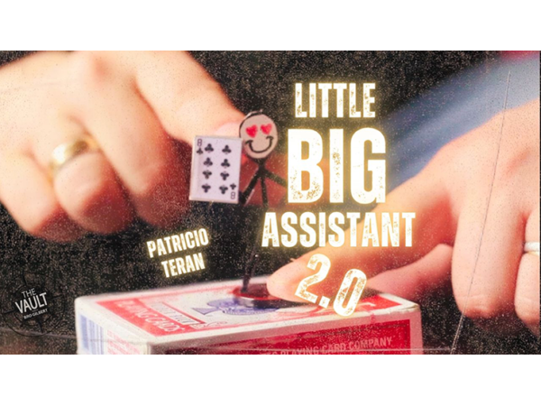 The Vault - Little Big Assistant 2 by Patricio Teran video DOWNLOAD