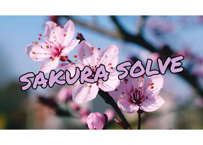 SAKURA SOLVE by Cyril Hubert and JJ Team video DOWNLOAD