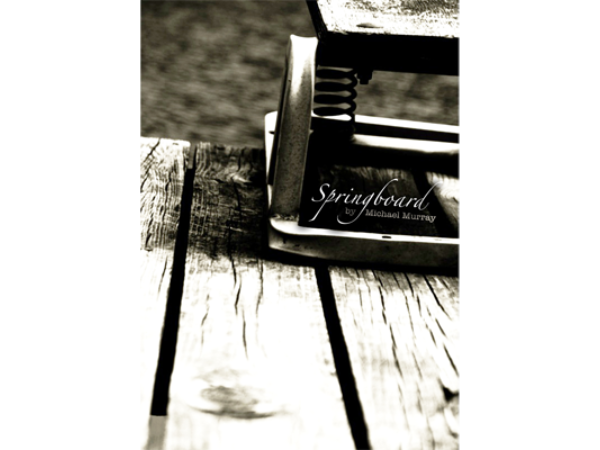 Springboard by Michael Murray - eBook