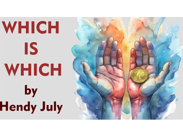 Which is Which by Hendy July eBook DOWNLOAD