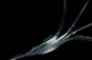 Httpswww magicshop chmediacatalogproductsisimple blossom sensitive 7 png
