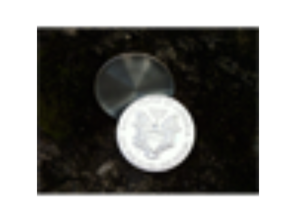 Expanded shell;(Tail) by Unicorn Gaffed Coin - Trick