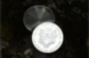 Expanded shell;(Tail) by Unicorn Gaffed Coin - Trick – Image 3