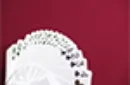 Unicorn Playing cards (Emerald)by Aloy Design Studio USPCC – Image 5