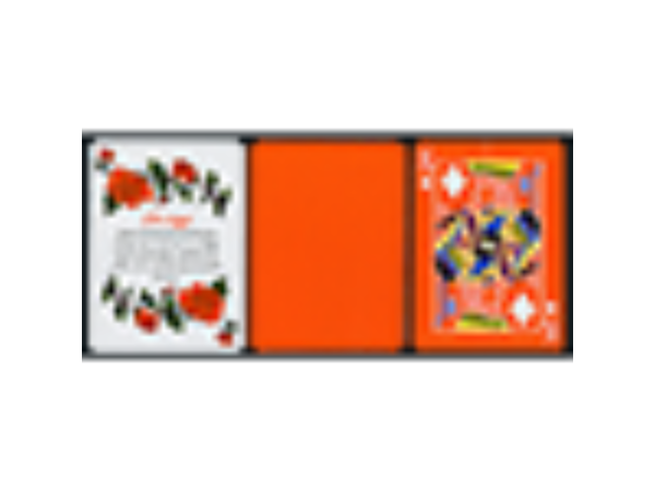 Tally Ho Reverse Fan back (Orange) Limited Ed. by  Aloy Studios / USPCC