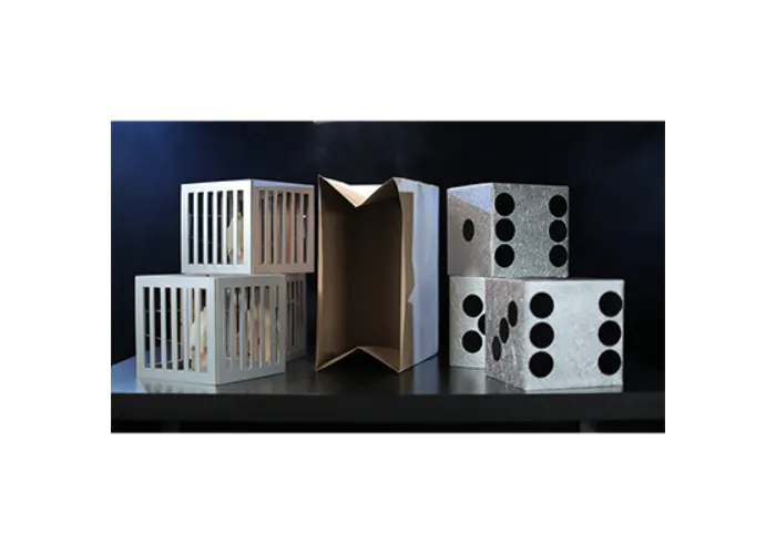 Cages and Dice from Paper Bag by Tora Magic - Trick