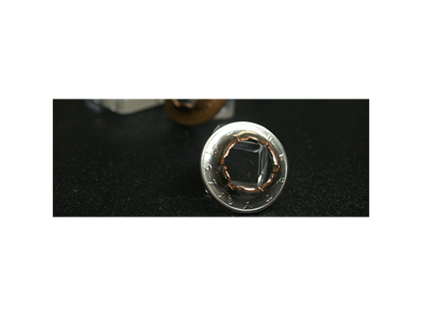 KuKarate Coin (Half Dollar) by Roy Kueppers - Trick