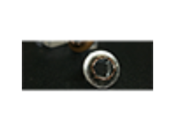 KuKarate Coin (Half Dollar) by Roy Kueppers - Trick