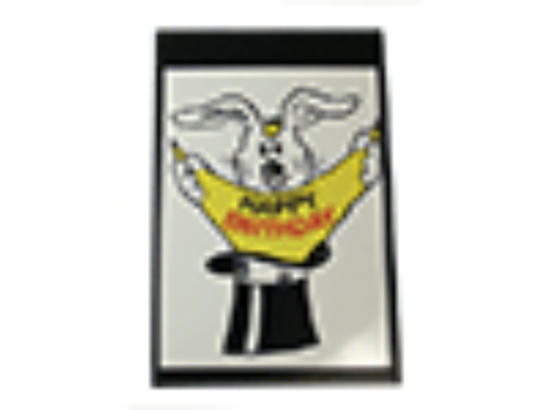 Instant Art Insert (Birthday) by Ickle Pickle Magic - Trick