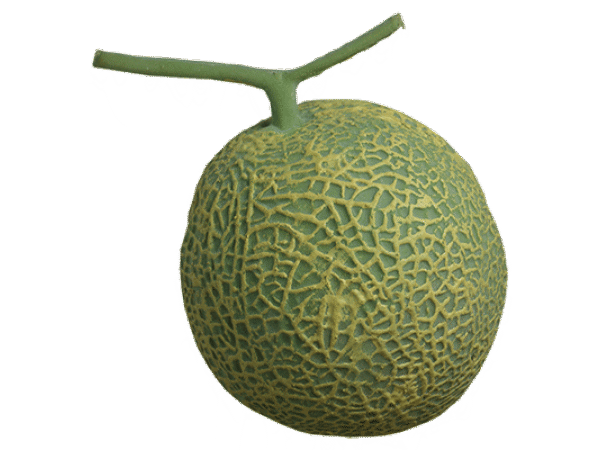 Production Melon From Box Set  - Trick