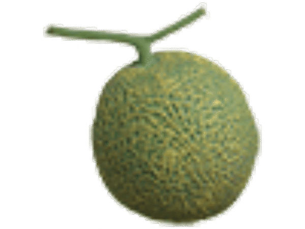 Production Melon From Box Set  - Trick