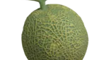 Production Melon From Box Set  - Trick – Image 2