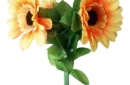 Amazing Split Sunflower by Premium Magic - Trick – Image 2