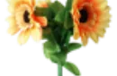 Amazing Split Sunflower by Premium Magic - Trick – Image 3