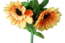 Amazing Split Sunflower by Premium Magic - Trick – Image 4