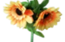 Amazing Split Sunflower by Premium Magic - Trick – Image 5