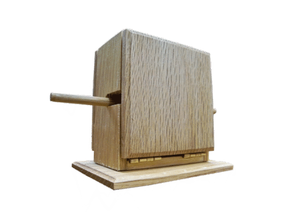 Kennard's Mystery Box by Daytona Magic, Inc. - Trick