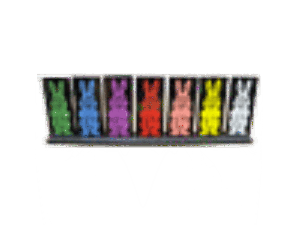 Rainbow Rabbit Production by Daytona Magic, Inc. - Trick