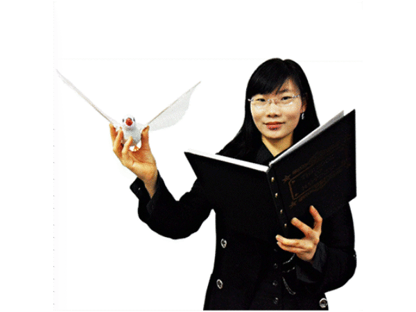 Dove & Rabbit Book by JL Magic