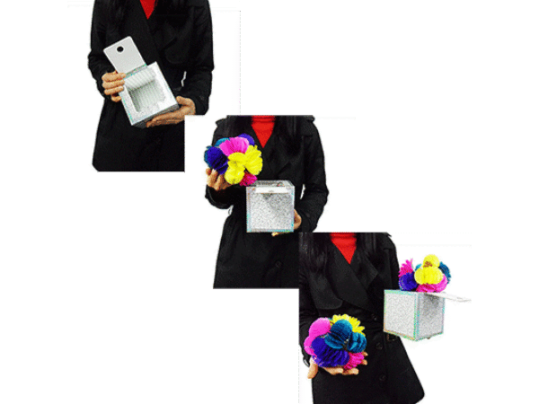 Fantasy Box by JL Magic - Trick