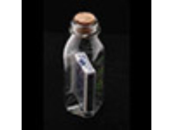 Anything Is Possible Bottle (Red Back Bicycle) by Jamie D. Grant - Trick