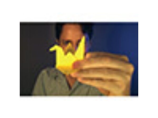 Origami Effect by Andrew Mayne - DVD