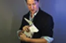Origami Effect by Andrew Mayne - DVD – Image 5