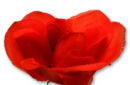 Httpswww magicshop chmediacatalogproductsisimple udtorchrose 1 jpg