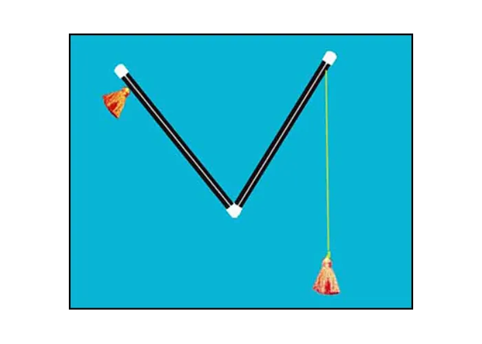 Chinese Pom Pom Sticks (15.5 Inches) by Uday - Trick