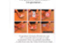 Httpswww magicshop chmediacatalogproductsisimple dvdthelane 3 jpg